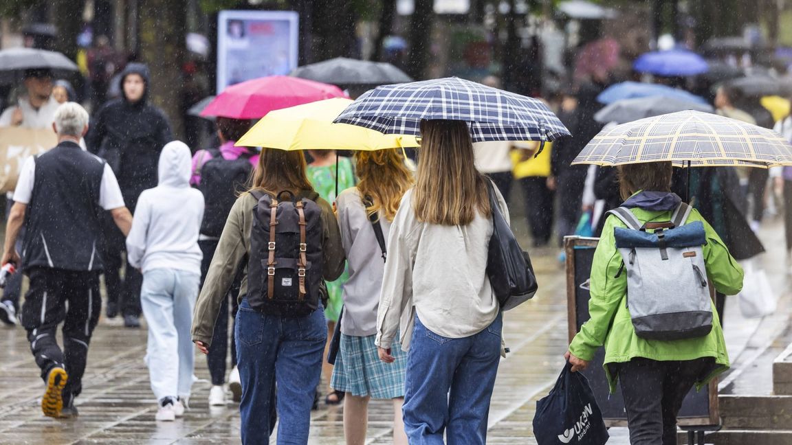 Bereits in der Nacht setzt Dauerregen ein, der am Montag landesweit anhalten soll.