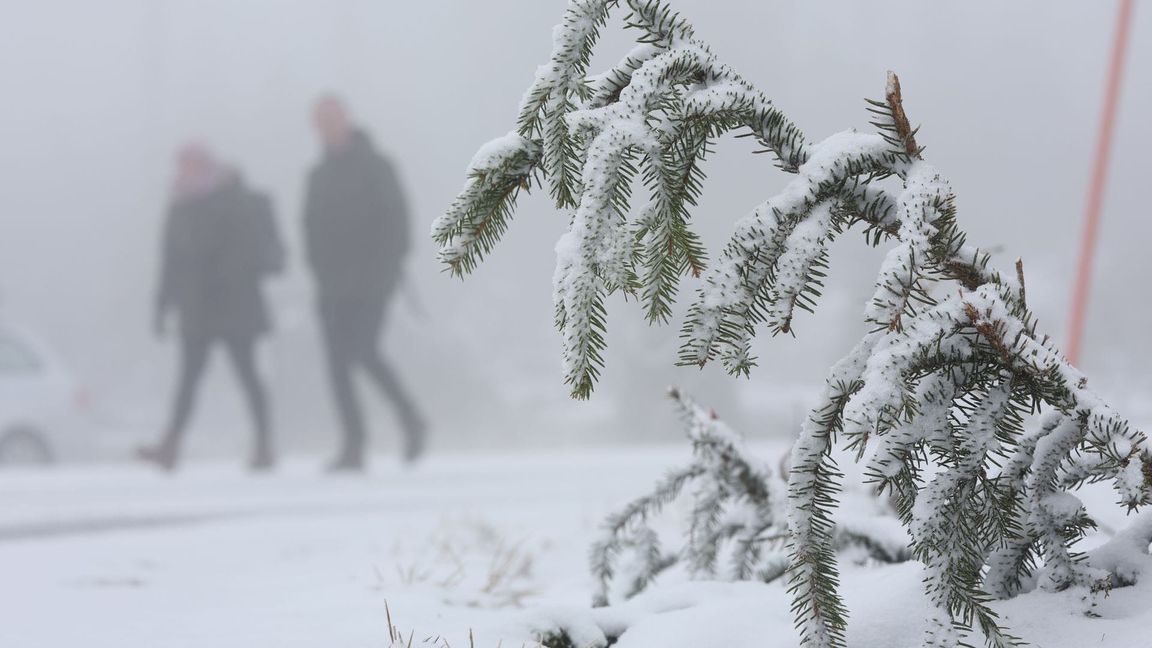 In den Mittelgebirgen wie dem Harz wird am Mittwoch Neuschnee erwartet.