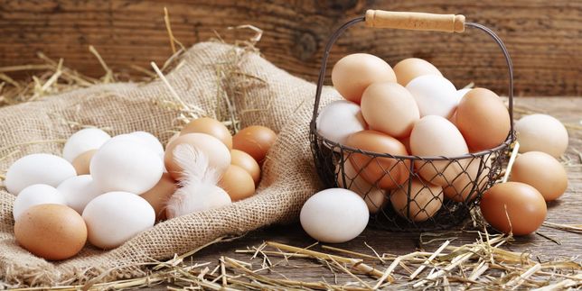 Eier sind nicht nur zur Osterzeit ein beliebtes Lebensmittel.	Bild: Nitr/Adobe Stock