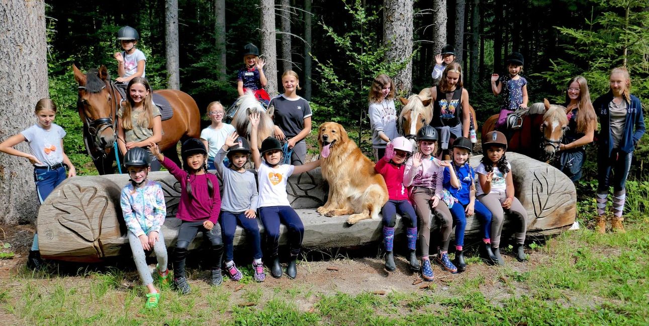 Es könnte ein schöner Reitsommer werden.Bild: z