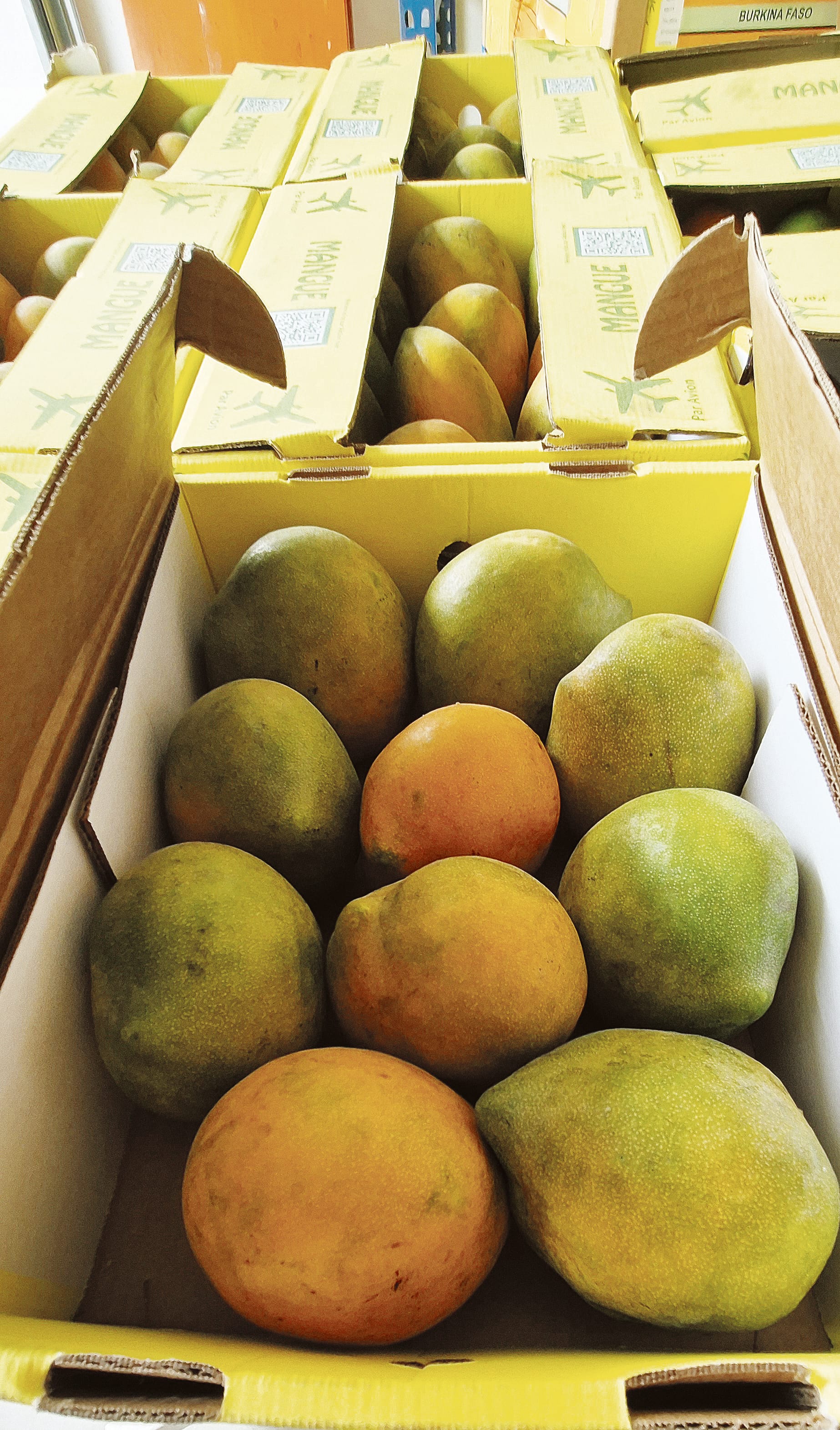 Die Mangos sind heiß begehrt.