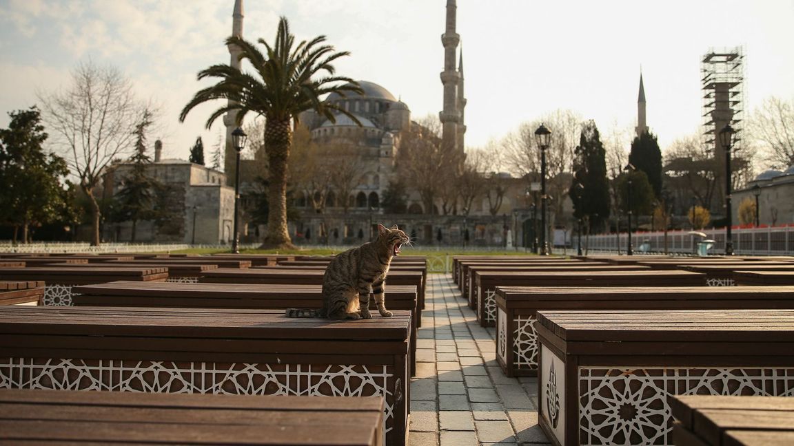 Das Kopftuch ist in der Türkei weiter umstritten, auch abseits von Gebetsstätten wie etwa die Blaue Moschee in Istanbul (Archivbild)