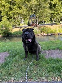 Ben