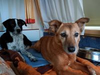 Ben und Bella