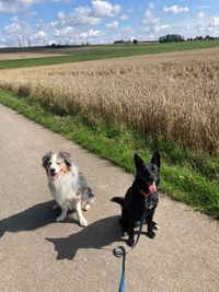 Deejay und Luna