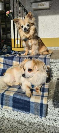 Krümel und Michel