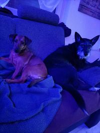 Luna und Lina