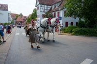 Großer Festumzug 150 Jahre Freiwillige Feuerwehr Maichingen.