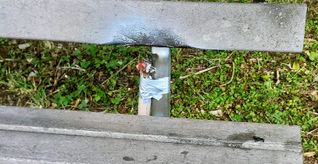In Aidlingen befestigte ein Unbekannter einen Feuerwerkskörper an einer Bank.  Bild: Richter