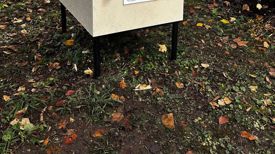 Die erste "Tierklappe" der Schweiz - das Konzept ist nicht unumstritten.