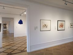 Blick in die Ausstellung auf Schloss Dätzingen.