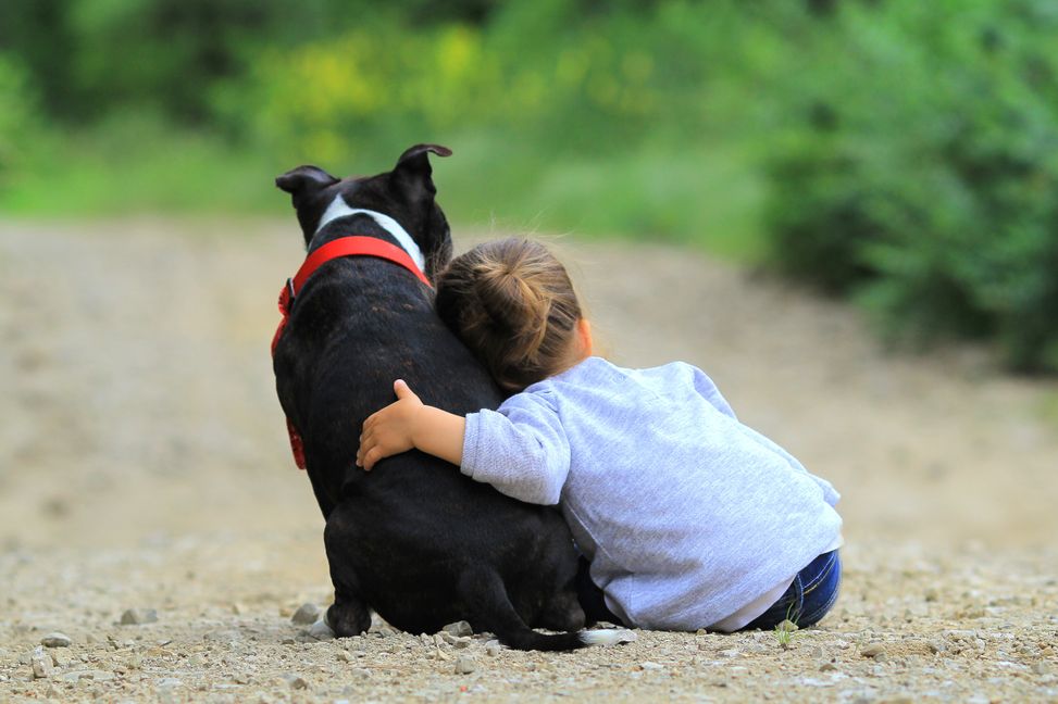 Ein Kind und sein Haustier sind oft die besten Freunde. Leider landen immer mehr Tiere im Tierheim.   Bild: melounix / Adobe Stock
 113557207