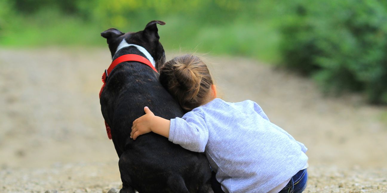 Ein Kind und sein Haustier sind oft die besten Freunde. Leider landen immer mehr Tiere im Tierheim.   Bild: melounix / Adobe Stock
 113557207