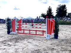 1,40 Meter hoch sind die Hindernisse beim S-Springen in Waldenbuch. Bild: Häusler