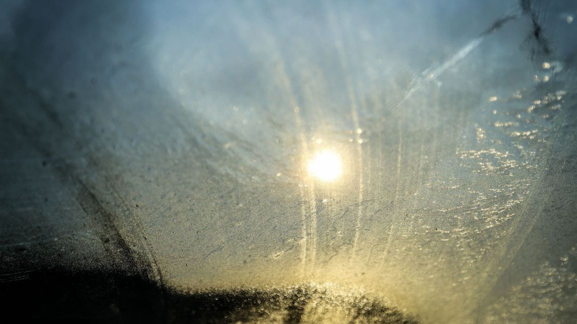 In den nächsten Tagen wird es immer sonniger.