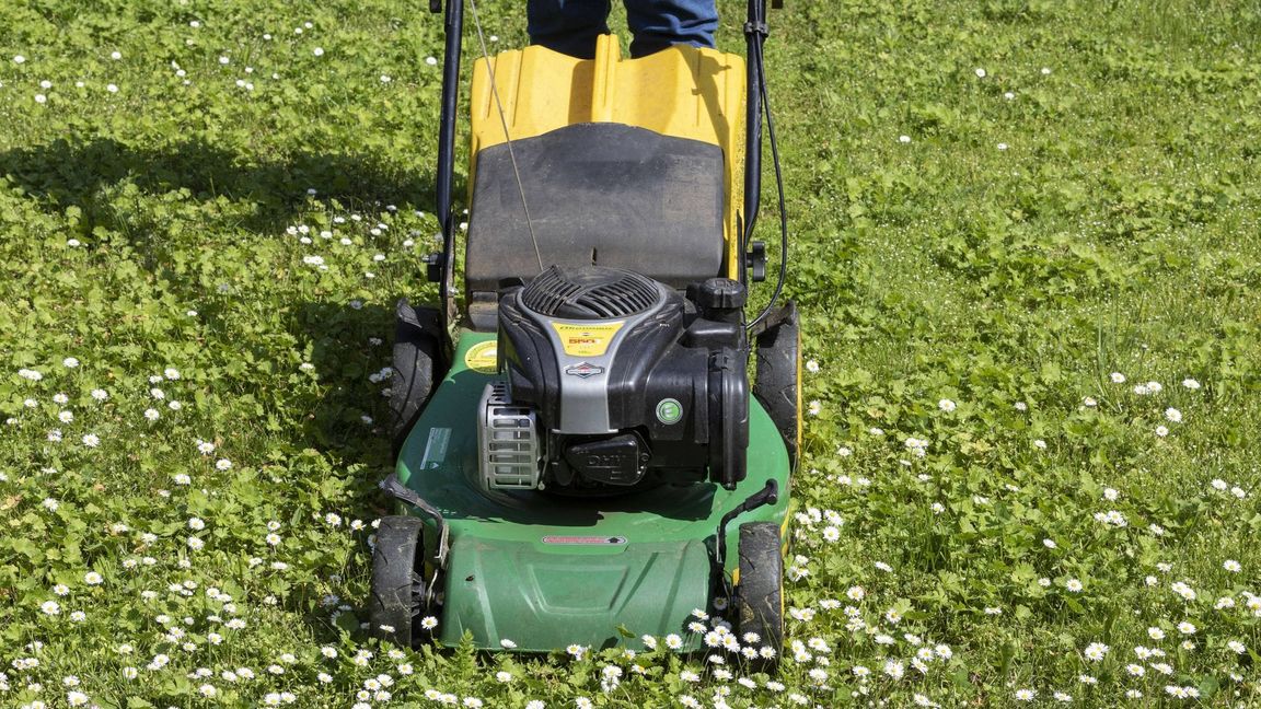 Ist Rasenmähen an Christi Himmelfahrt erlaubt?