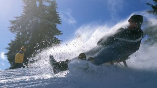 Auf dem Feldberg kann am Wochenende mit etwas Glück Schlitten gefahren werden.