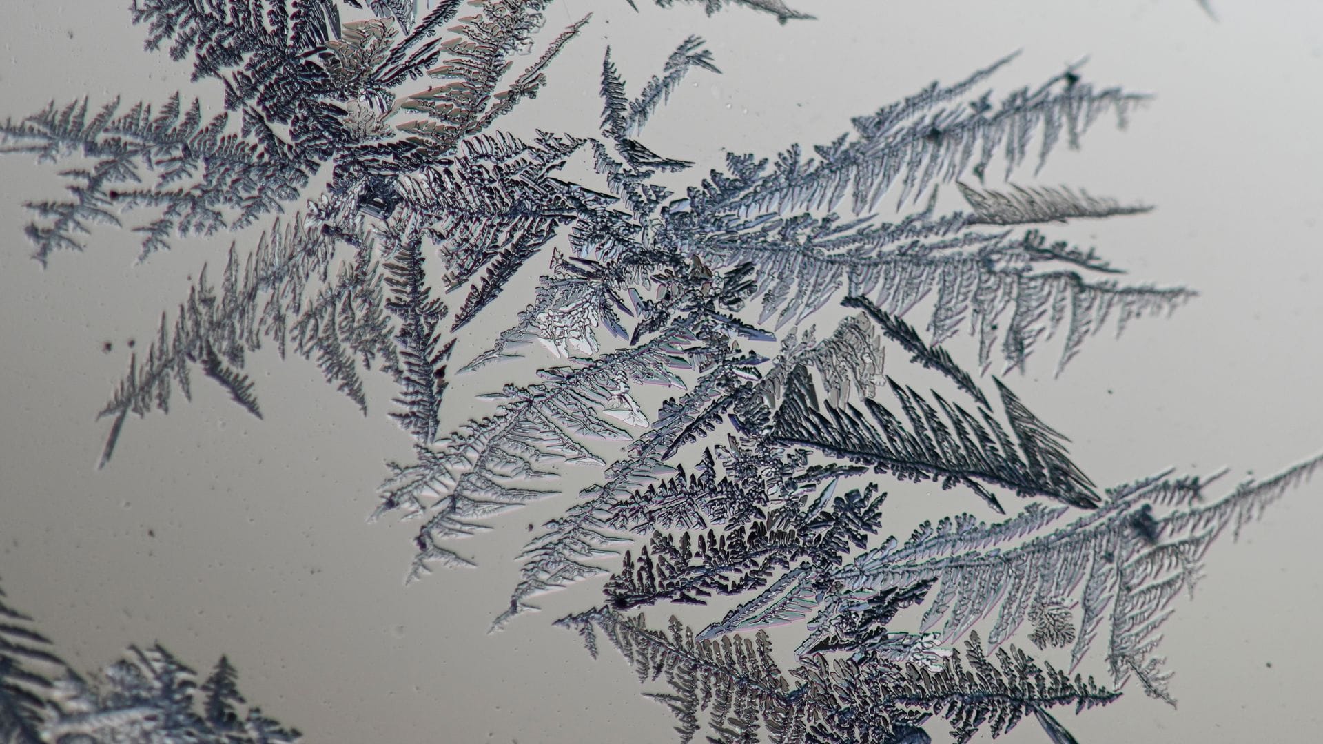 Kratzer, Staub und Rillen im Glas dienen als Startpunkt für das Wachstum der Eisblumen. (Archivbild)