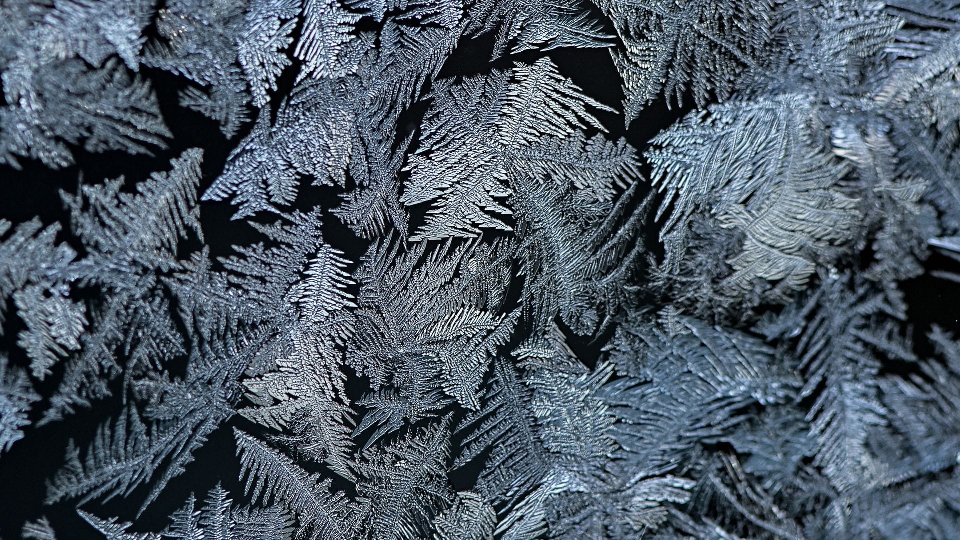 Häufig sehen Eisblumen wie Farnblätter aus. (Archivbild)