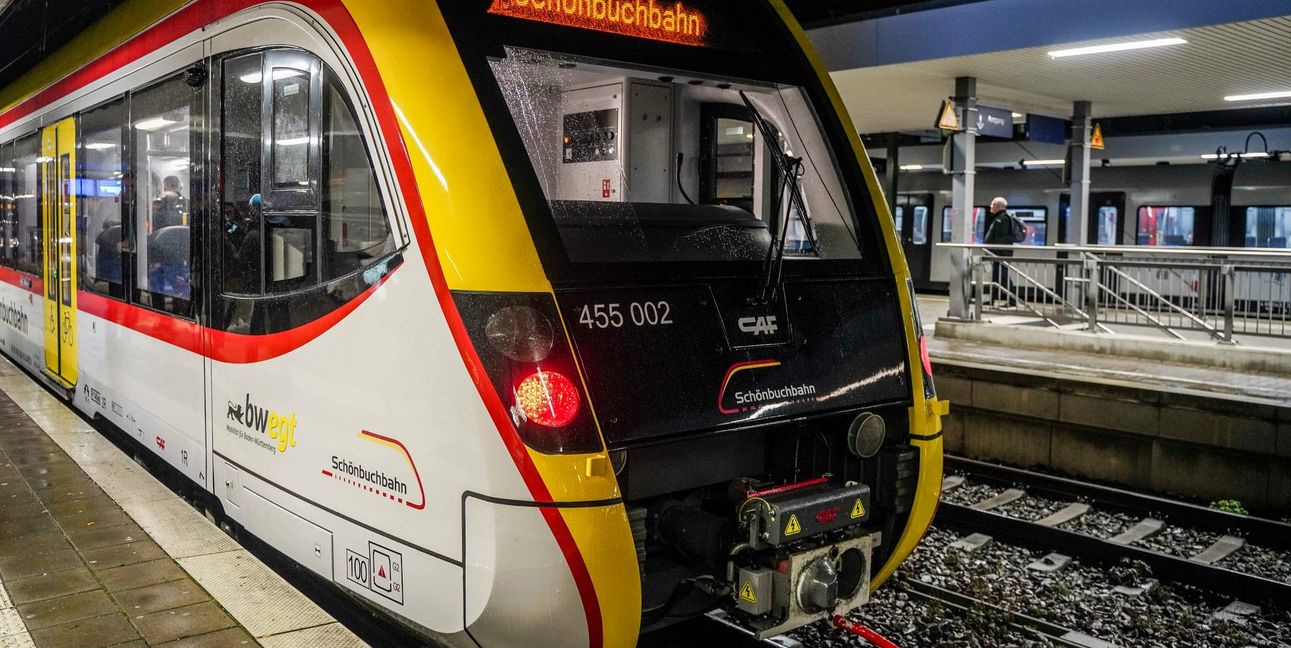 In der Schönbuchbahn kam das Trio mit dem Obdachlosen ins Gespräch. Auf dem Bahnsteig in Holzgerlingen eskalierte das Ganze.