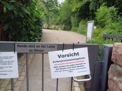 Am Holzgerlinger Waldfriedhof warnt ein Schild Besucher vor dem Eichenprozessionsspinner. Bild: Elbers