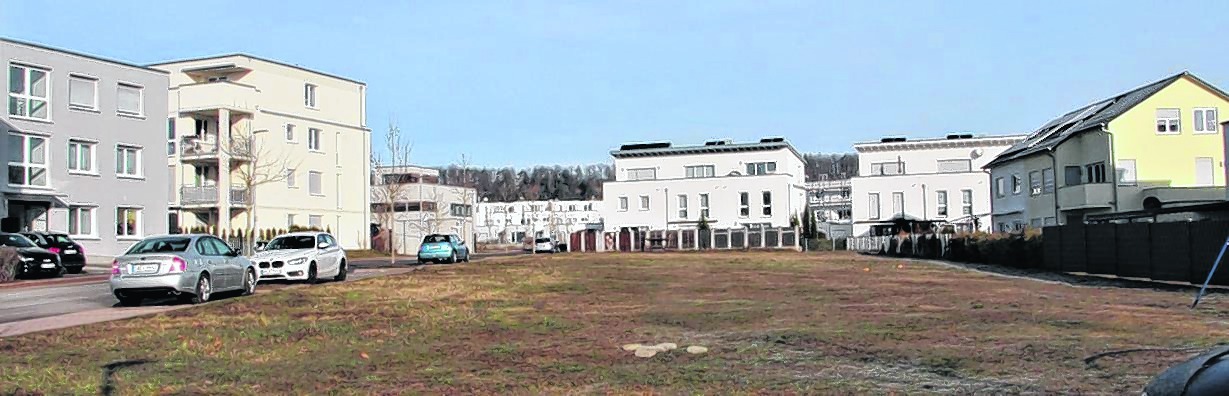Auf dieser Wiese im Gebiet Westrand soll gebaut werden. Die Entscheidung über die Bauplatzvergabe will der Schönaicher Gemeinderat mittels eines Fragebogens klären.  Bild: Denner