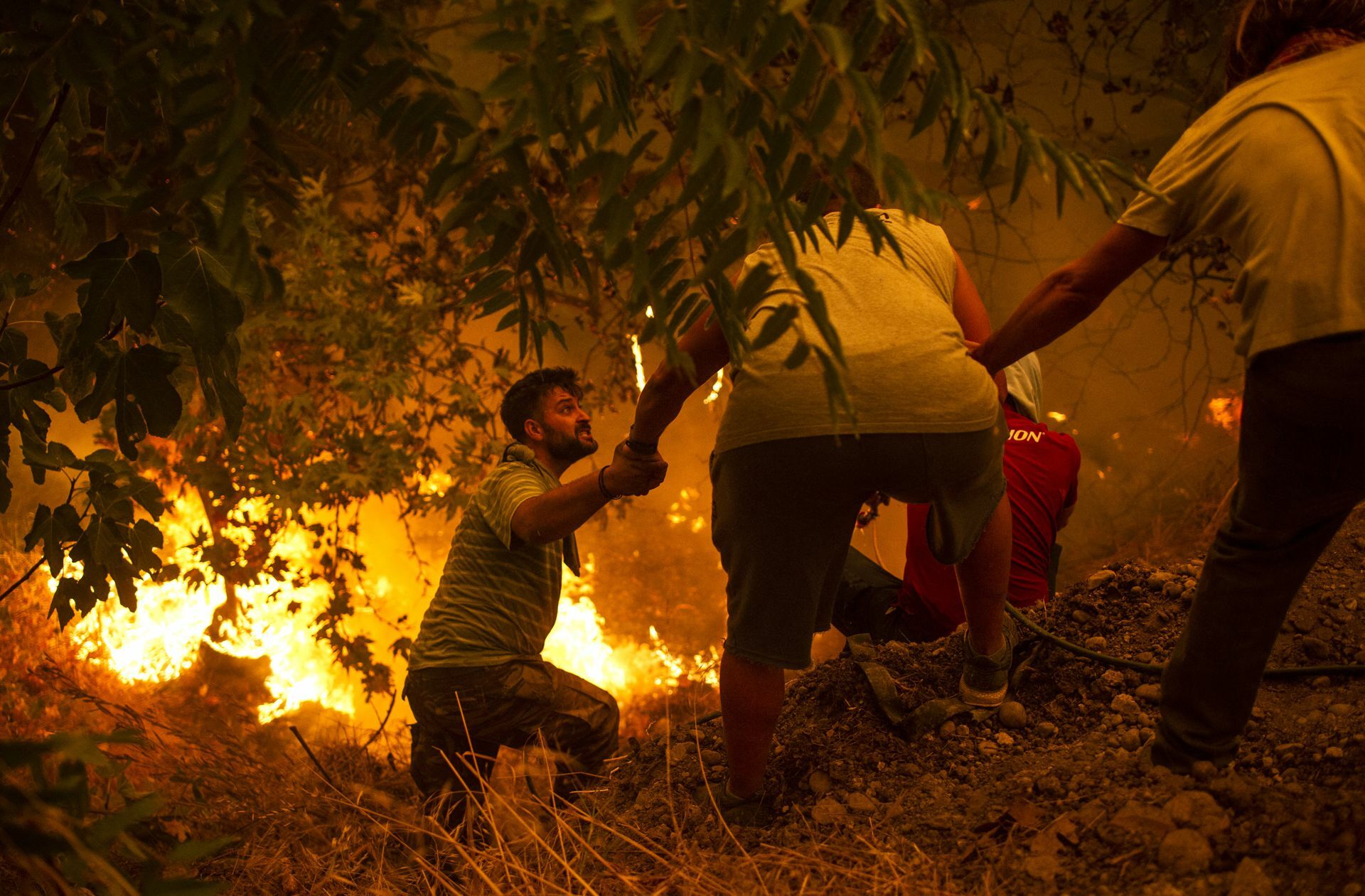 Waldbrände wüten derzeit in Europa – auch aufgrund der enormen Hitze. Insbesondere  auf der griechischen Insel Euböa ist die Lage dramatisch.
 Foto: AFP/Angelos Tzortzinis
