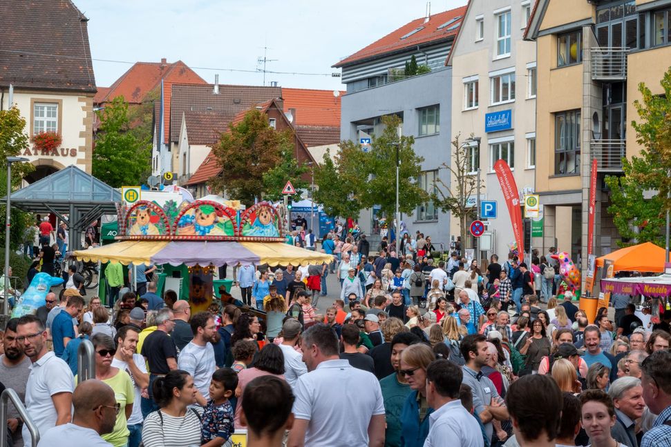 Der Holzgerlinger