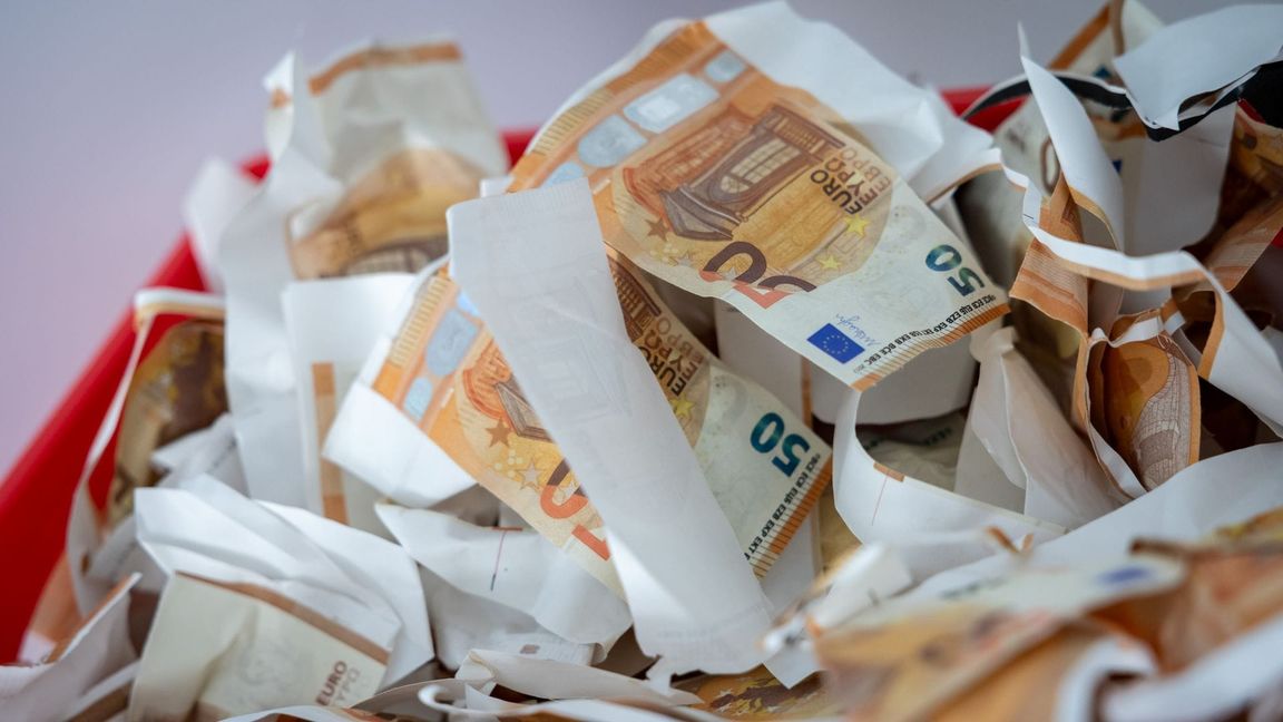 Beim Anfassen von Blüten merkt man den Unterschied zu echten Banknoten. (Archivbild)