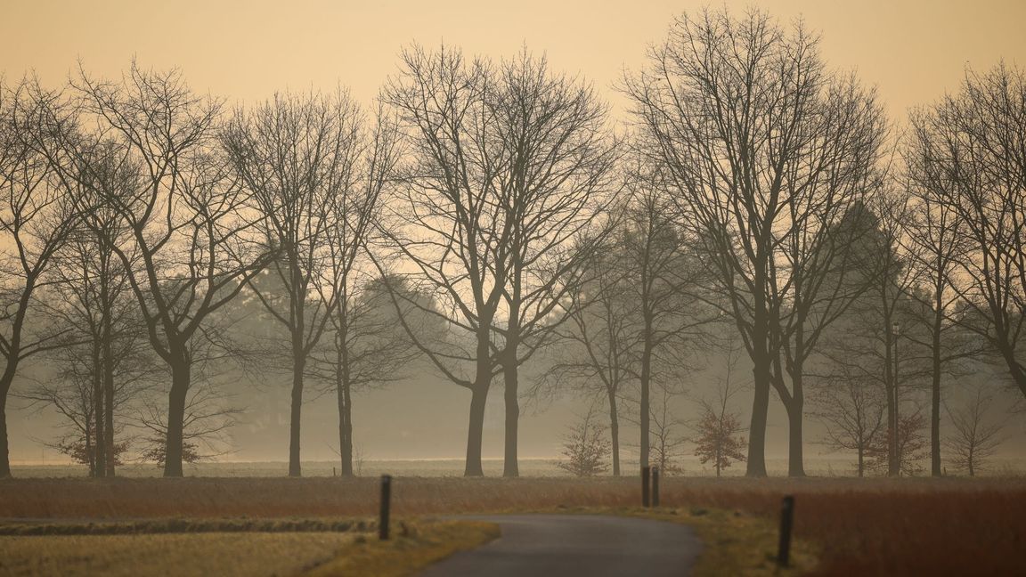 Sahara-Staub kommt auch in Deutschland an. (Archivbild)
