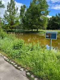 Sommer in den Sindelfinger Parks.