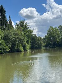 Sommer in den Sindelfinger Parks.