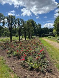 Sommer in den Sindelfinger Parks.