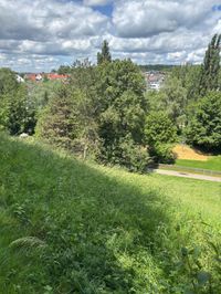 Sommer in den Sindelfinger Parks.