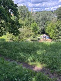 Sommer in den Sindelfinger Parks.