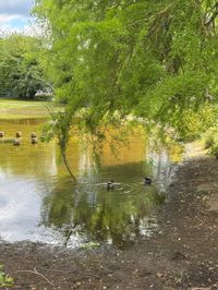 Sommer in den Sindelfinger Parks.