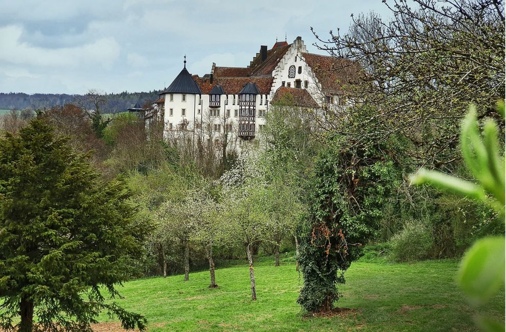 Das Blumenfelder Schloss steht mächtig in der Hegaulandschaft.
 Foto: /Eberhard Wein
