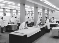 Konstruktions-Zeichenraum im Werk Sindelfingen 1964.