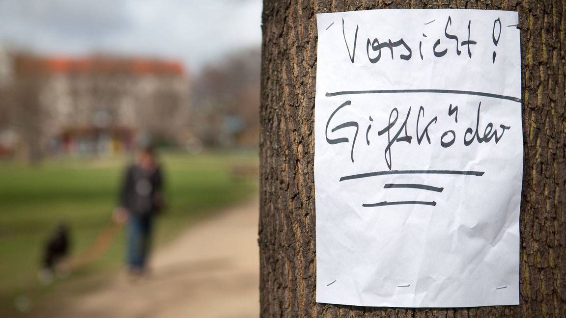 Die Symptome weisen auf eine Vergiftung hin. (Symbolbild)