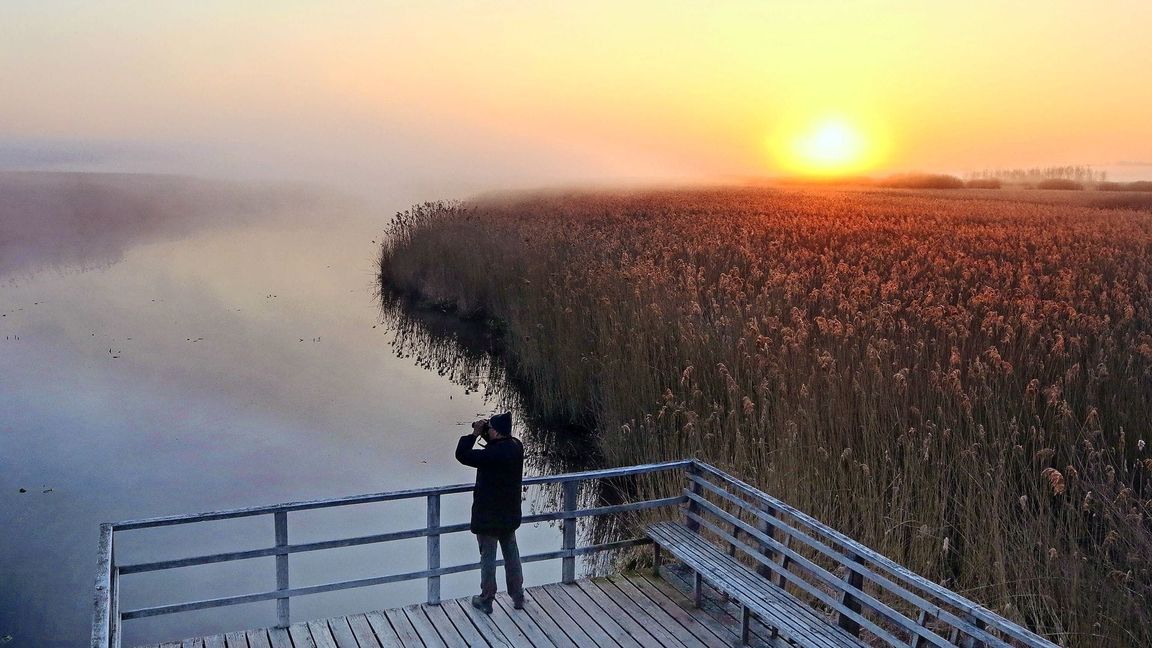 Der Federsee in Bad Buchau, Oberschwaben ist mit einer Fläche von 1,4 Quadratkilometern der zweitgrößte See in Baden-Württemberg. Mit insgesamt  33 Quadratkilometer gehört das Gebiet zum  größten Moor Südwestdeutschlands.