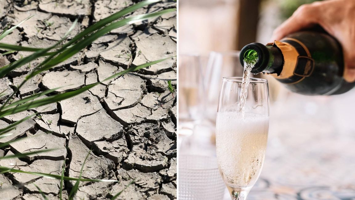 Zwischen derd Erderwärmung und dem Lebensstil der Superreichen besteht der Studie zufolge ein klarer Zusammenhang