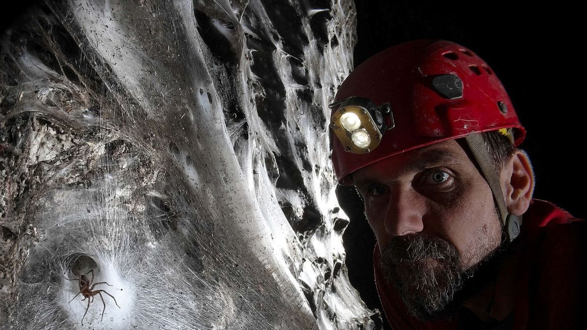 Ein Wissenschaftler vor dem riesigen Spinnennetz