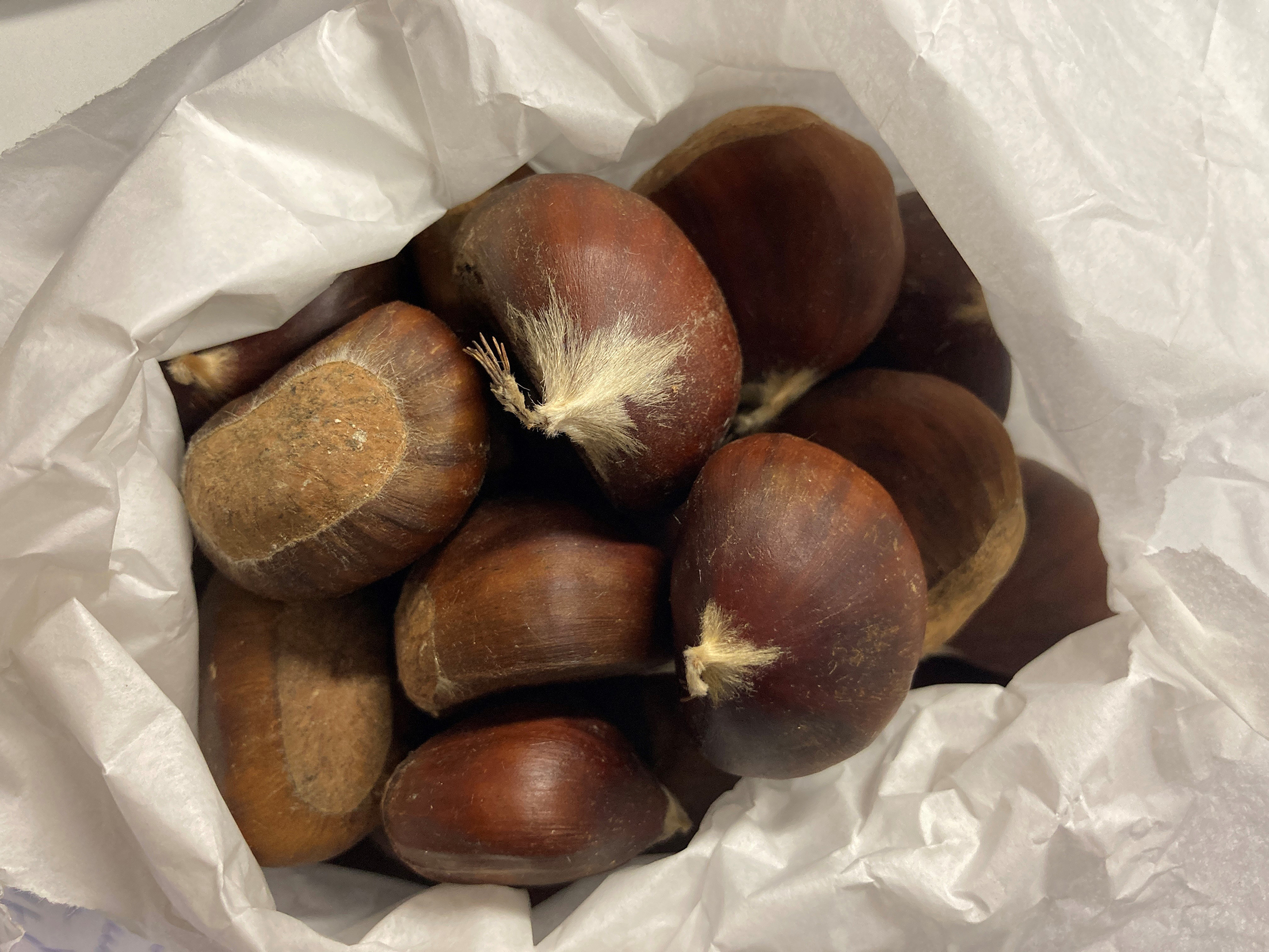 Leckere Esskastanien für den guten Zweck gibt's heute auf dem Samstagsmarkt in Sindelfingen – auch geröstet.  Bild: Jung