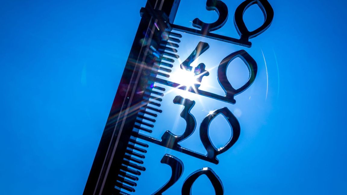 In der kommenden Woche soll es sommerlich werden.