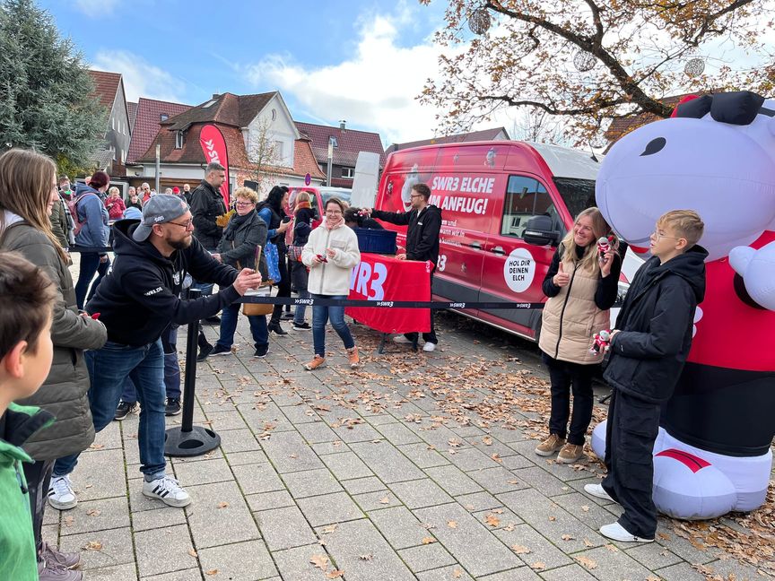 Elch-Alarm in Renningen.