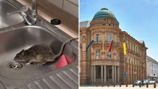Das Polizeirevier am Karlsruher Marktplatz wurde zweimal von einer Ratte heimgesucht.