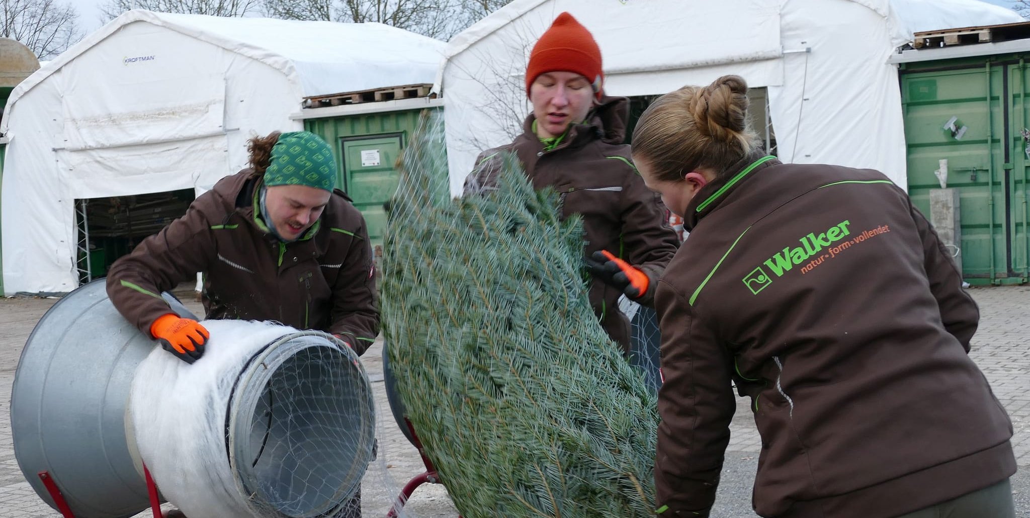 Hannes, Ruben und Anna Walker bei der Arbeit.