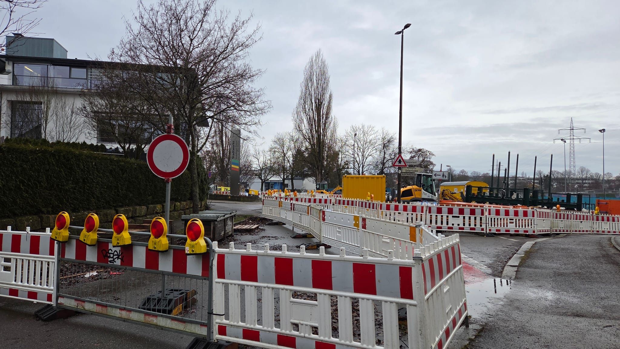 Diese Pappeln in der Rosenstraße sind von den Planungen betroffen.