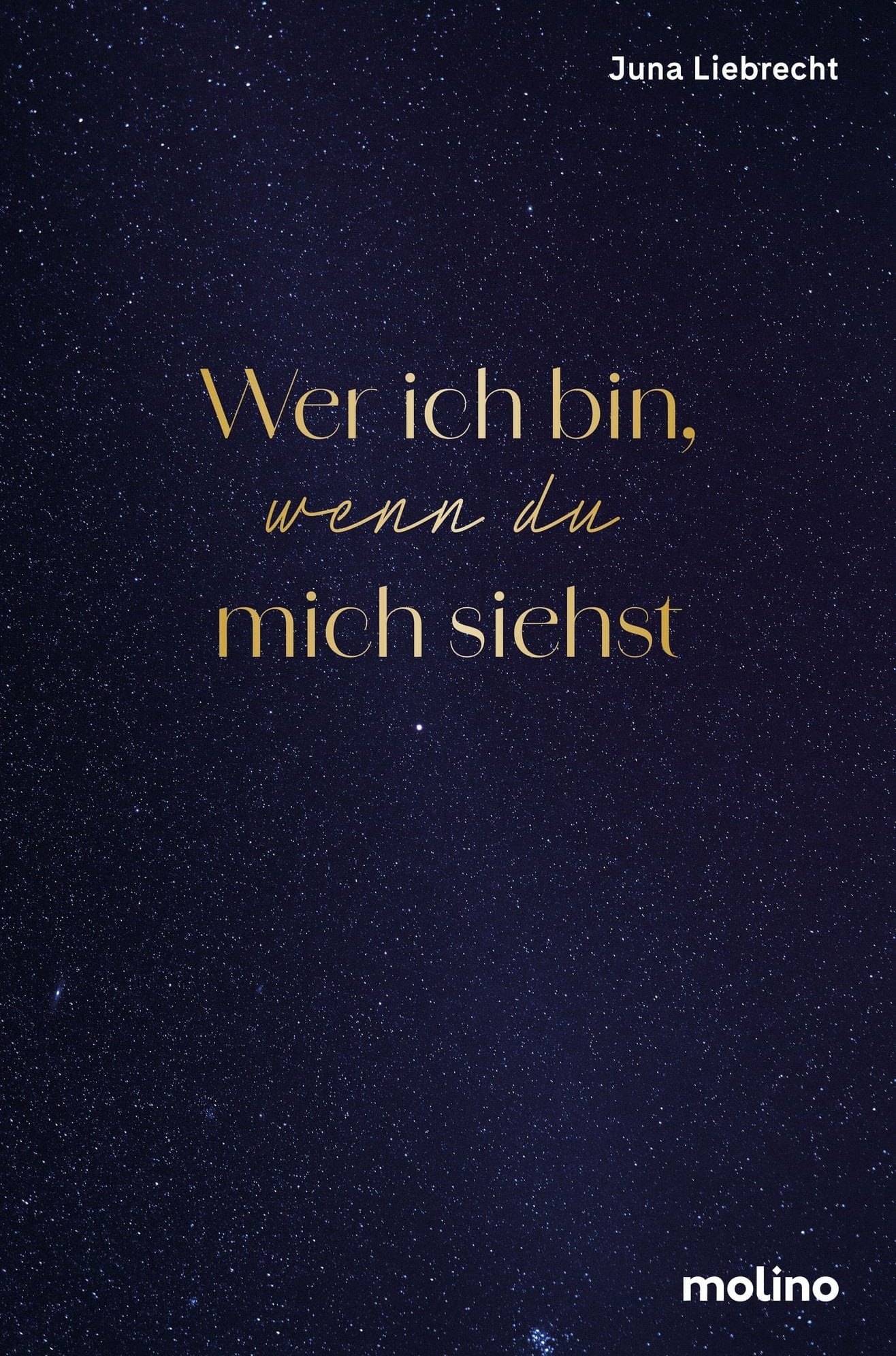 Eigentlich sollte der Roman bald erscheinen. Doch nach heftiger Kritik hat der Maichinger Molino-Verlag die Veröffentlichung abgesagt.