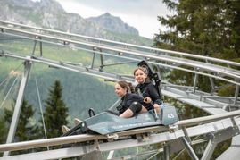 Elfercoaster: Rasanter Fahrspaß in Neustift im Stubaital.